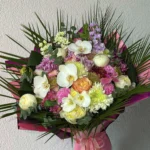 Doğanın Renkli Dansı