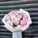 15 li Pink Pion